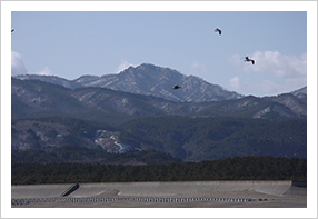 和沙羅比山